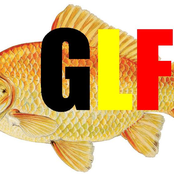 goldfish liberation front