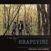 Metamorphose by Grapevine