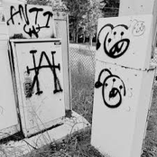 Rotten, Sweet Fruits & Vegetables