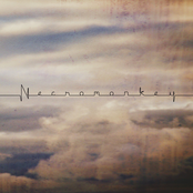 Necroplex