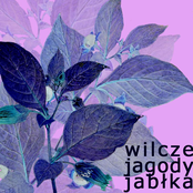 Jabłka