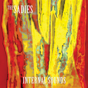 The Lesser Key by The Sadies