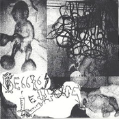 Cedric's Lettuce / Eat Your Pets