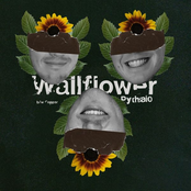 Wallflower / Copper