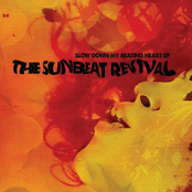 Slow Down My Beating Heart E.P CD