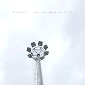 Como Uma Raposa Nos Faróis