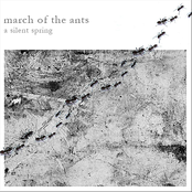 March Of The Ants