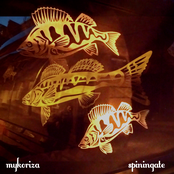 Spiningate