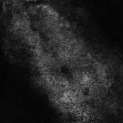 The Backbone of the Night