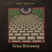 Grass Driveway