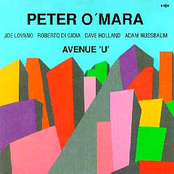 Avenue 'U'