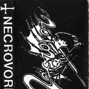 Slaughtered Remains by Necrovore