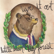 Little Bear. Big Forest