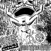 Amphibious Testosterone Hypertrophy