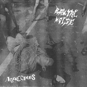 split with Brutal Noise