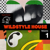 Kapote presents Toy Tonics Wildstyle House Vol. 1