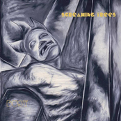 Make My Mind by Screaming Trees