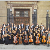 the budapest city orchestra