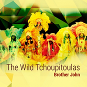 The Wild Tchoupitoulas: Brother John