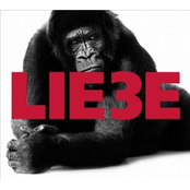 Hagen Rether – Liebe 3