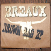 Brown Bag MP3