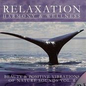 relaxation: harmony & wellness