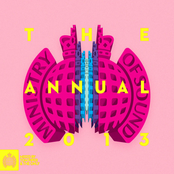 Ministry of Sound the Annual 2013