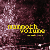 Expander by Mammoth Volume