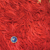 Noncanonical Gospels From The Cult Of The Immortal Tapir