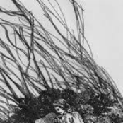 The Depths Of Dreams