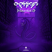 Primordial EP