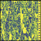 Permanent Vacation 6