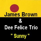 james brown & dee felice trio