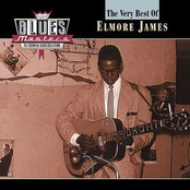Please Find My Baby by Elmore James