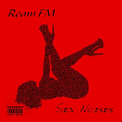Sex Noises