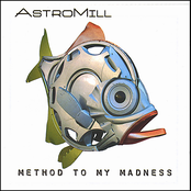 Method To My Madness by Astromill