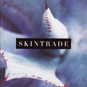 Skintrade