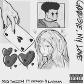 Goodbye My Love "Sped Up/Pitched"