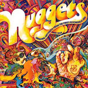 Nuggets: Original Artyfacts From The First Psychedelic Era