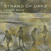 Strand of Oaks: Leave Ruin