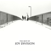 Joy Division