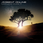 Ambient Online Compilation: Volume 13