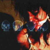 Snuff 102