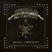 Spirit On A Mission