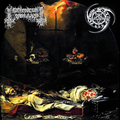 Seigneur Voland - Chemin De Haine