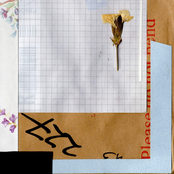 chicken little (or: how i learned to stop worrying and love the bomb)