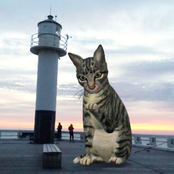 as people rush by in soaking wet clothes