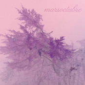 whatasight: revision