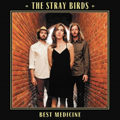 The Stray Birds: Best Medicine