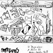 Der Trompetende Kaktushund